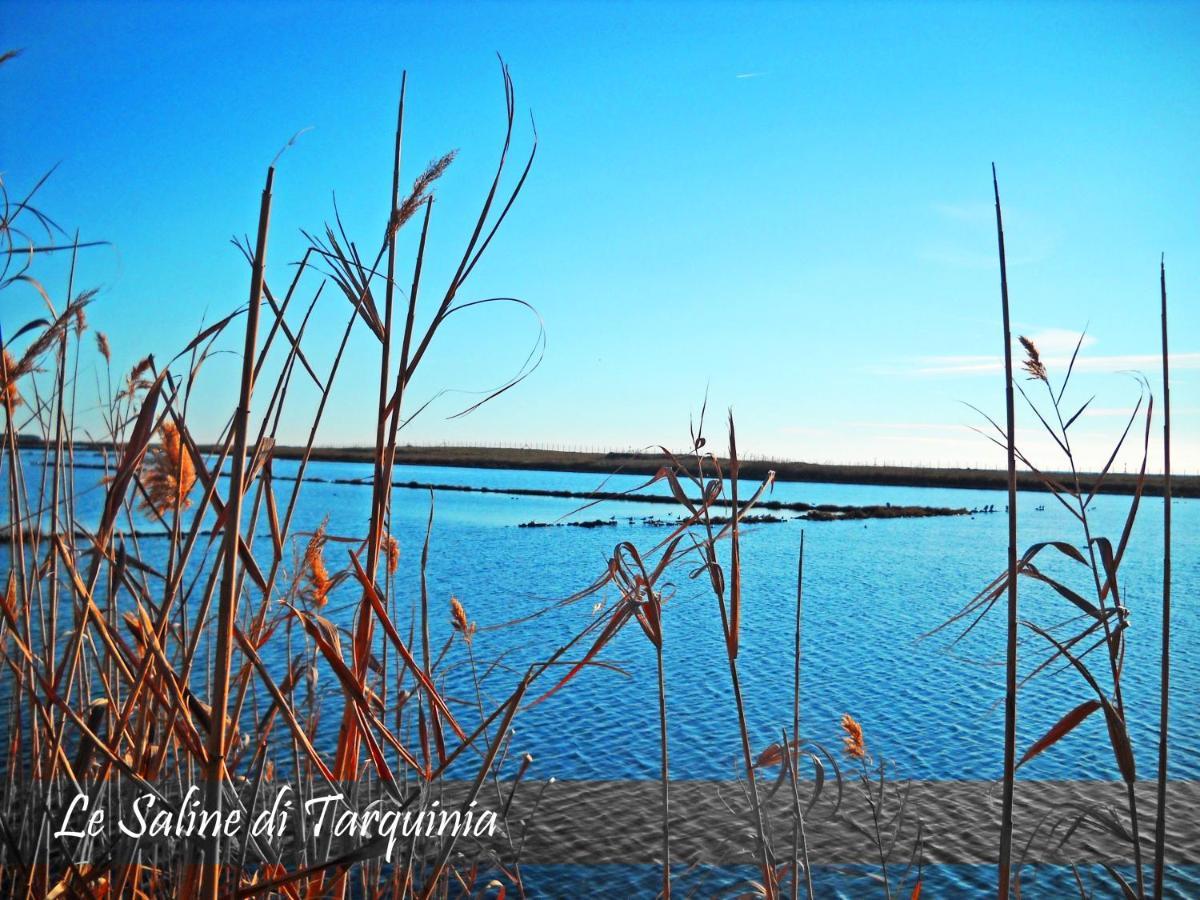 Casa Saline Διαμέρισμα Tarquinia Εξωτερικό φωτογραφία